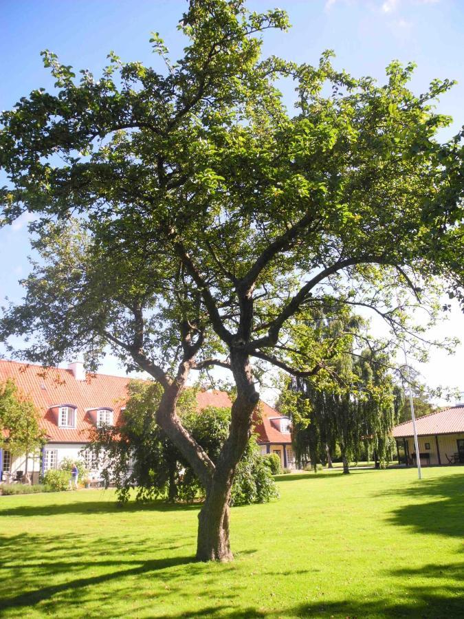 Inspiration Center Denmark, Bed & Breakfast Maribo Buitenkant foto
